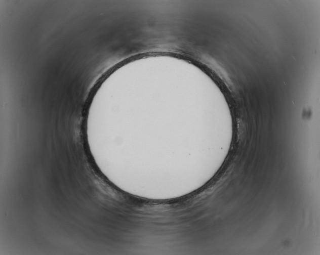 X0000101671260200808071036
