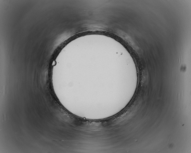 X0000101671261200808071036