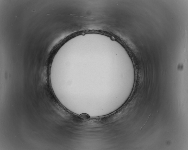 X0000101671262200808071036