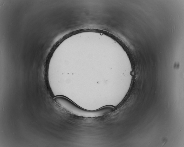 X0000101671264200808071036