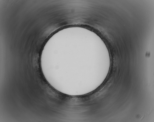 X0000101671265200808071036