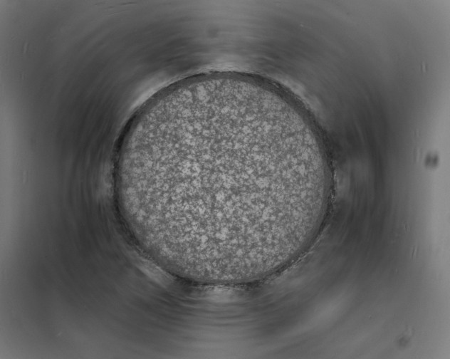 X0000101671266200808071036