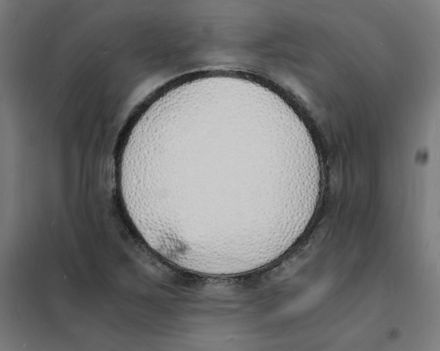 X0000101671267200808071036