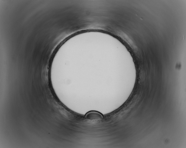 X0000101671268200808071036