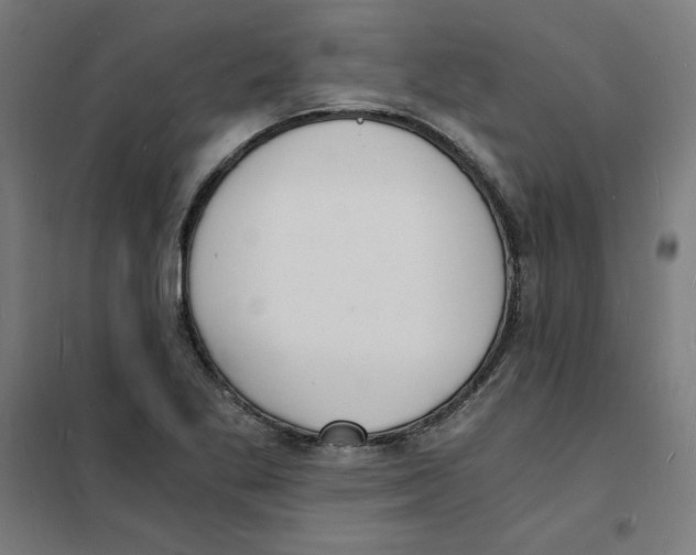 X0000101671269200808071036
