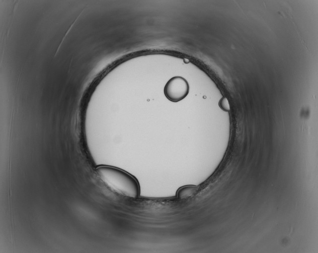 X0000101671270200808071036