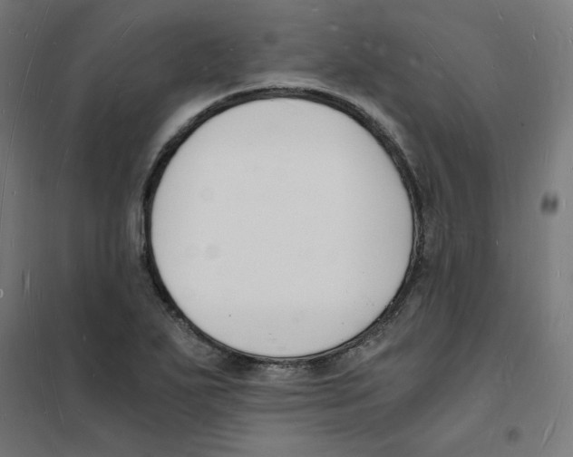 X0000101671271200808071036