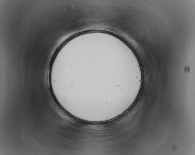 X0000101671272200808071036