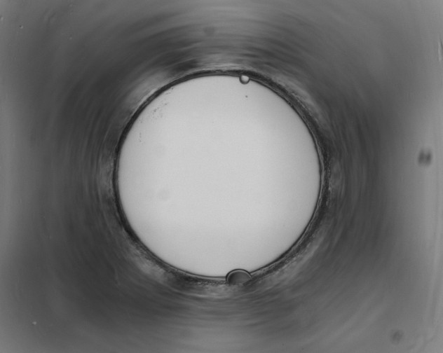 X0000101671273200808071036