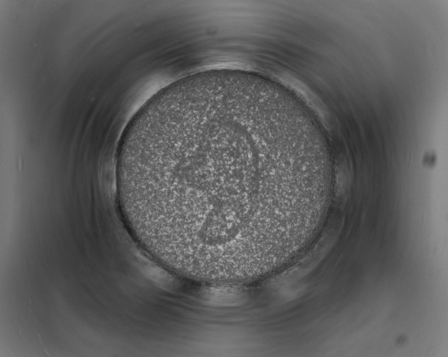 X0000101671274200808071036
