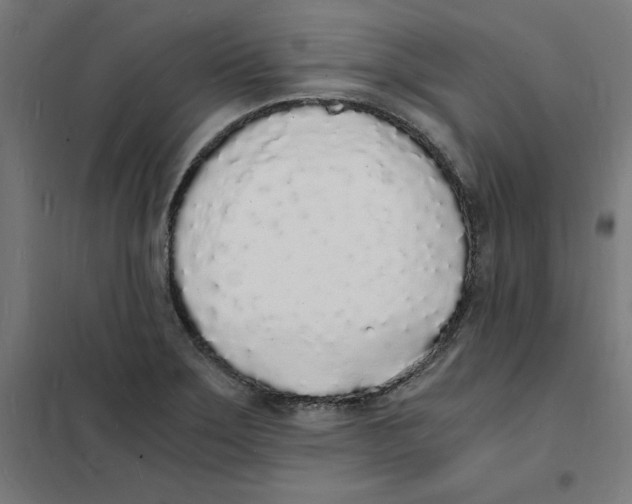 X0000101671275200808071036