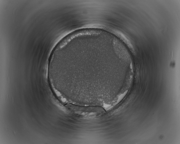 X0000101671276200808071036