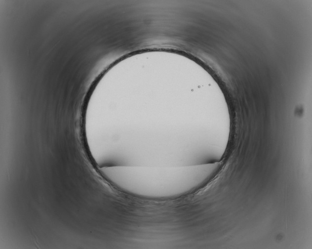 X0000101671277200808071036