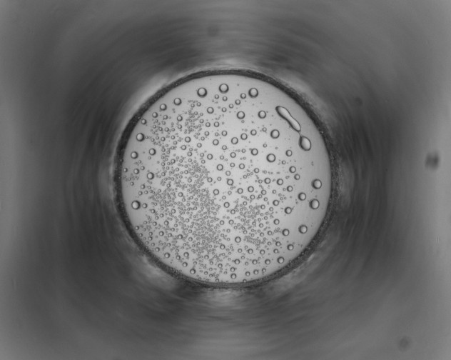 X0000101671278200808071036