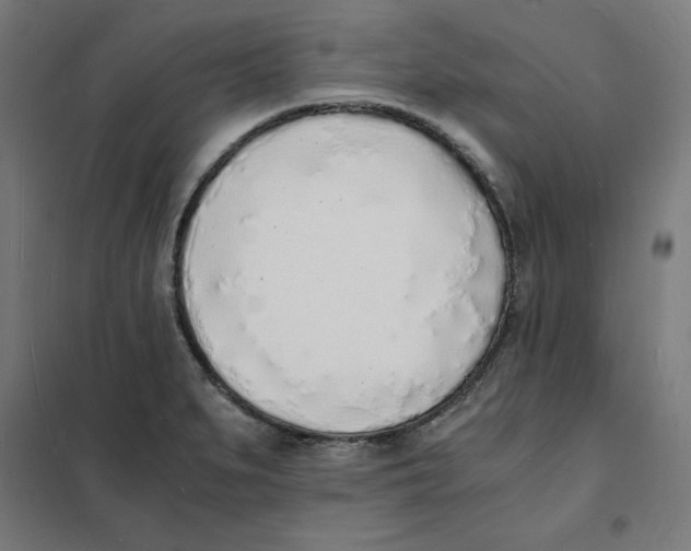 X0000101671279200808071036