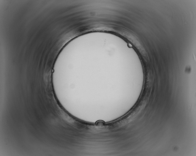 X0000101671281200808071036