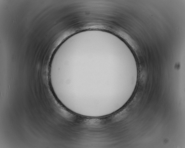 X0000101671282200808071036