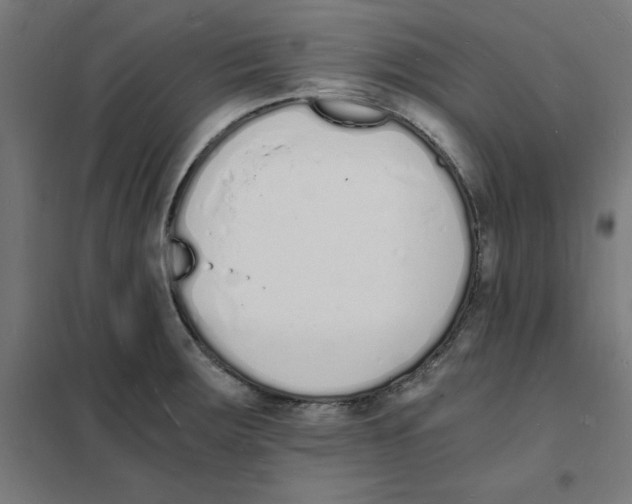 X0000101671283200808071036