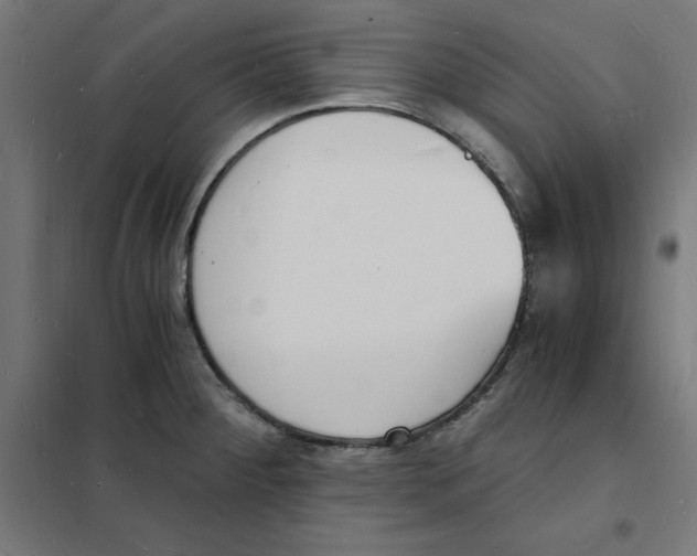 X0000101671284200808071036