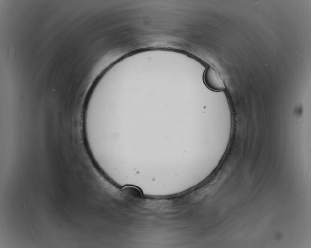 X0000101671285200808071036