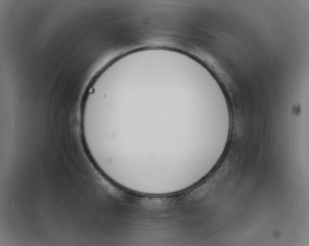 X0000101671286200808071036