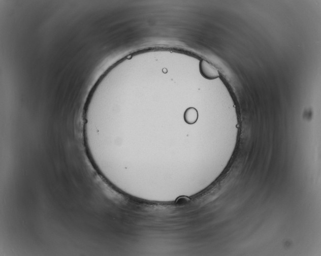 X0000101671287200808071036