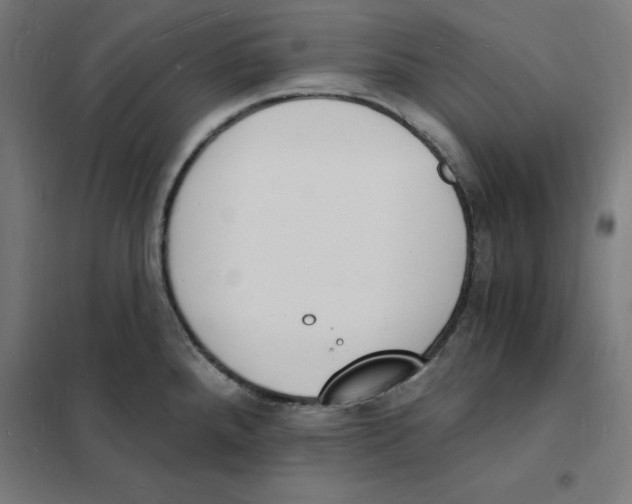 X0000101671288200808071036