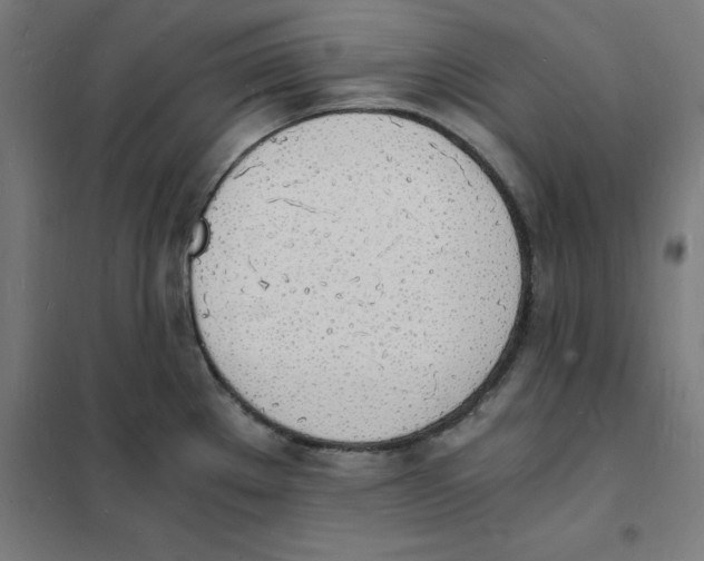 X0000101671289200808071036