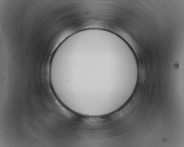X0000101671290200808071036