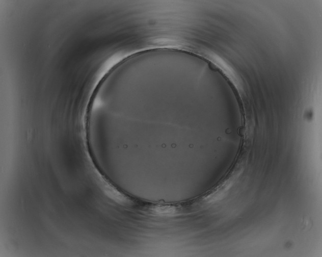 X0000101671291200808071036