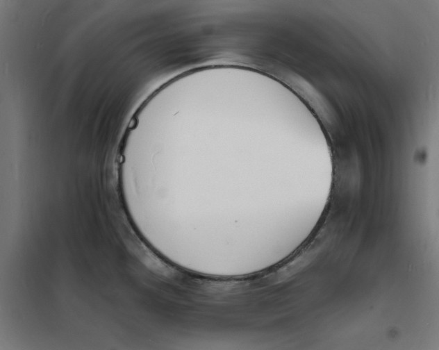 X0000101671292200808071036