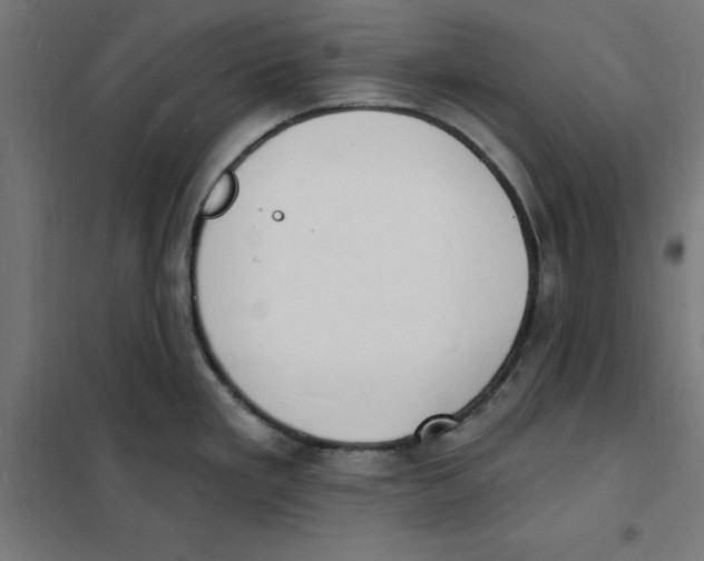 X0000101671293200808071036