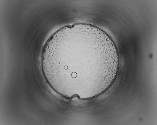 X0000101671294200808071036