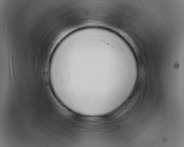 X0000101671295200808071036