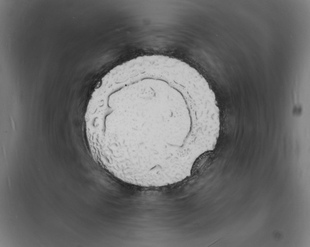 X0000101671297200808071035