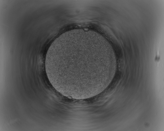 X0000101671298200808071035