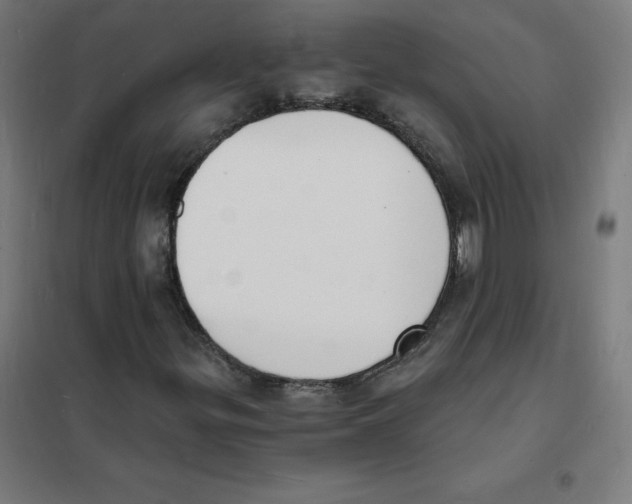 X0000101671299200808071035
