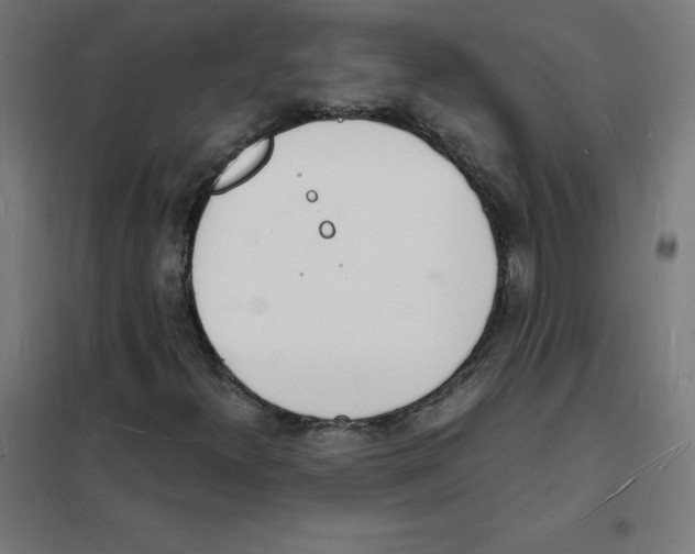 X0000101671300200808071035