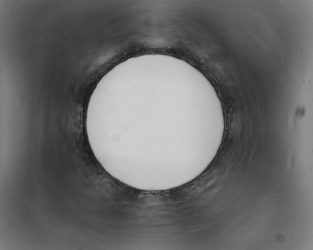 X0000101671301200808071035