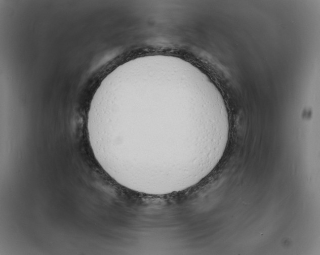 X0000101671302200808071035