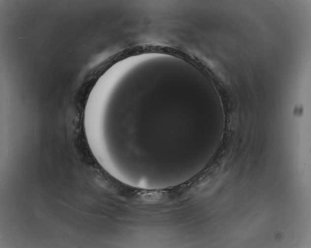 X0000101671303200808071035