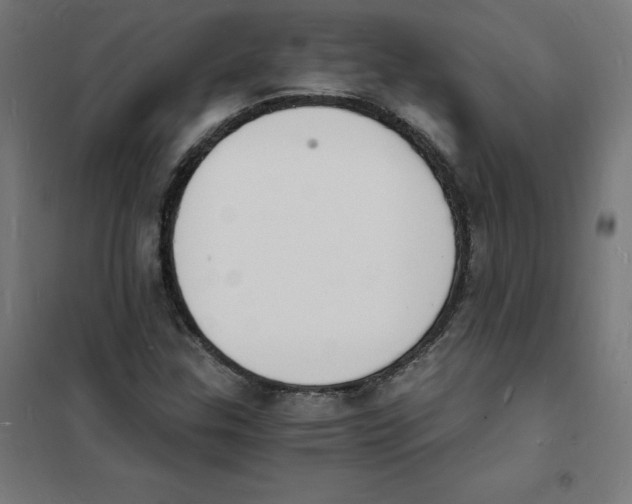 X0000101671307200808071035