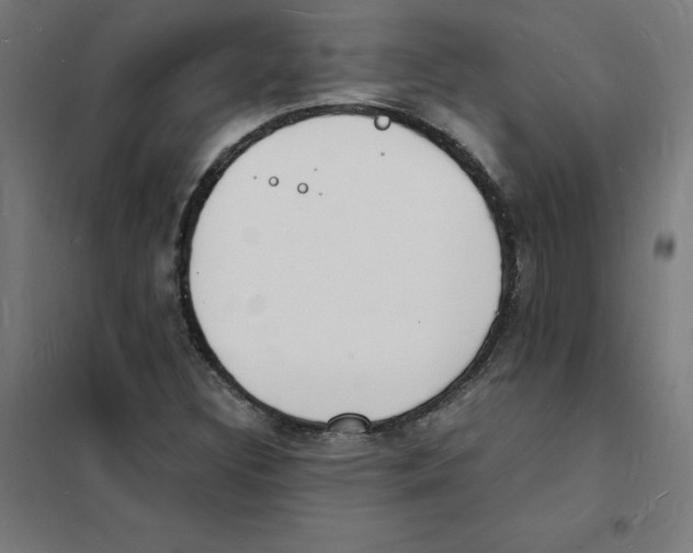 X0000101671308200808071035
