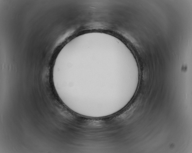 X0000101671309200808071035