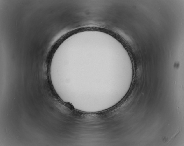 X0000101671310200808071035