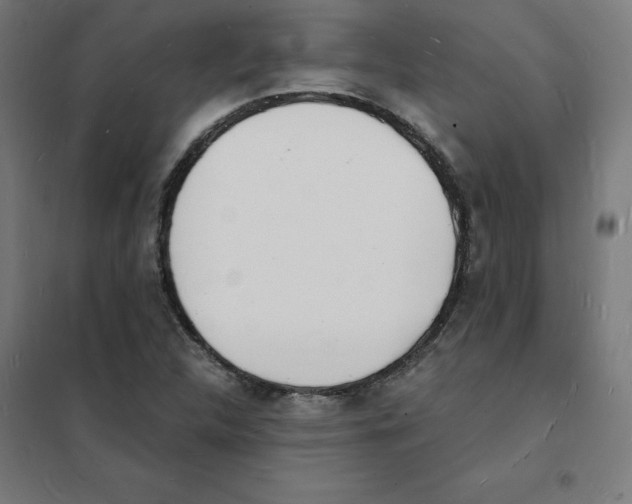 X0000101671312200808071035