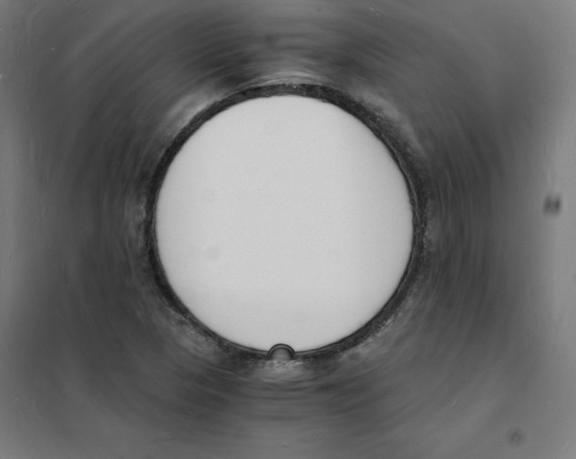 X0000101671313200808071035