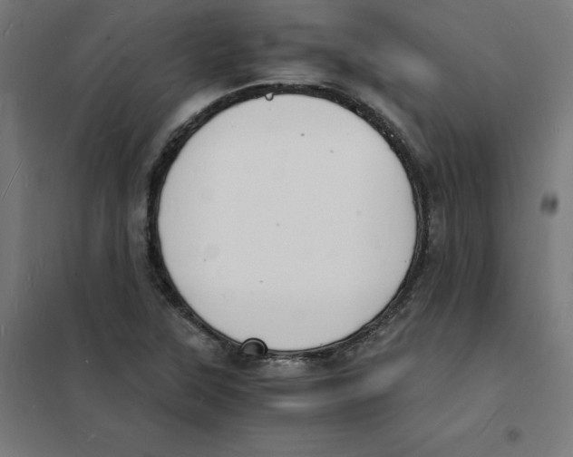 X0000101671315200808071035