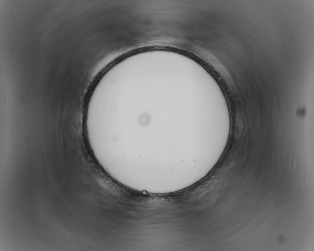 X0000101671316200808071035