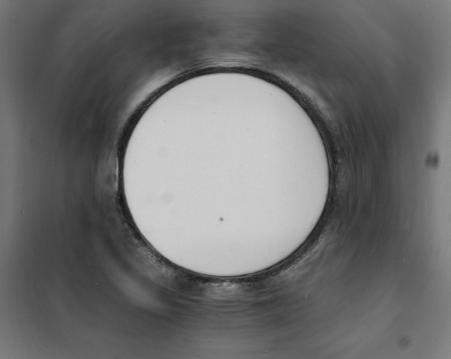X0000101671317200808071035